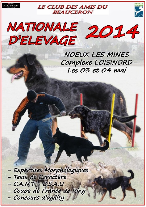 Du Mont Farmer - Nationale d'Elevage 2014 Noeux les mines