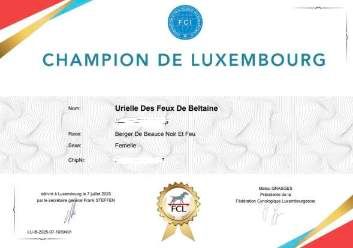 Titre de Championne de Luxembourg de Beauté pour Urielle 
