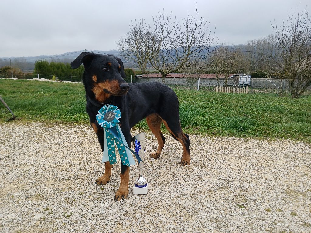 Du Mont Farmer - 1er titre pour Urielle